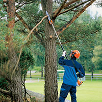 Pole Saws